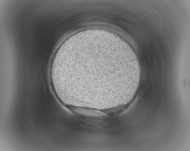 X0000113261533200910221029