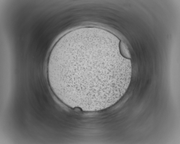 X0000113261535200910221029
