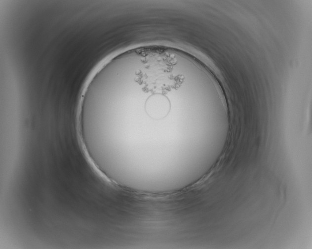 X0000113261536200910221029