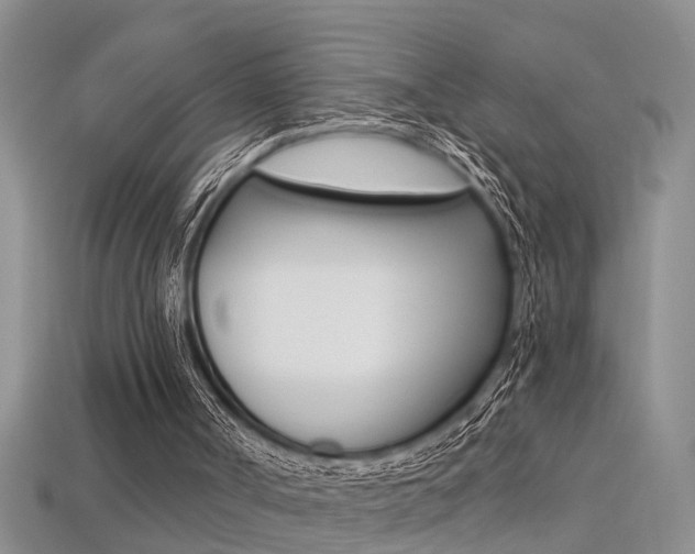 X0000113270002200909101320