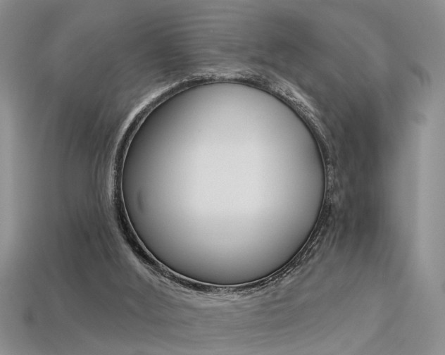 X0000113270012200909101320