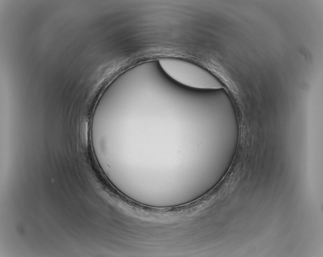 X0000113270014200909101320
