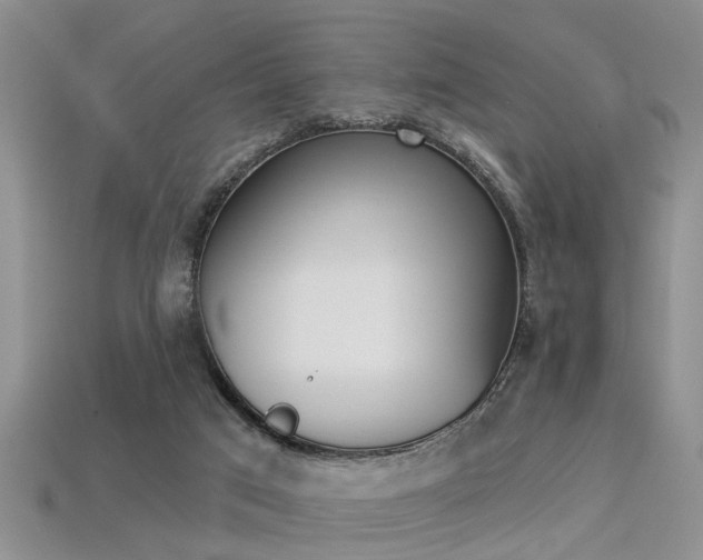 X0000113270017200909101320