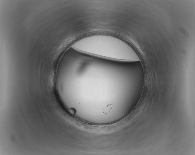 X0000113270023200909101320