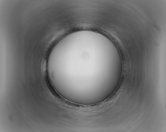 X0000113270024200909101320