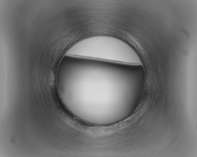 X0000113270025200909101320