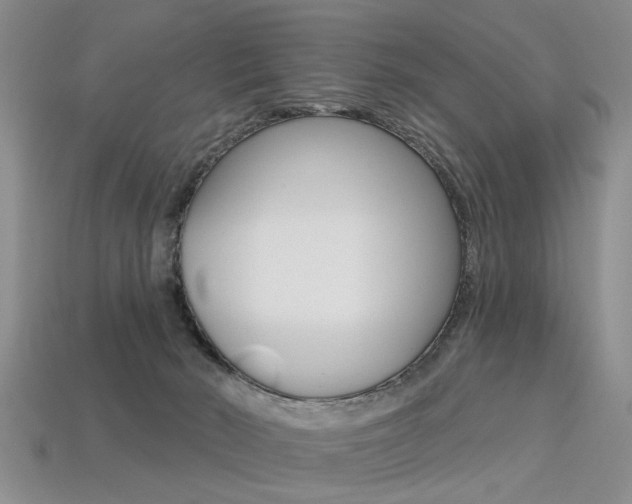 X0000113270030200909101320