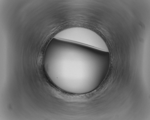 X0000113270036200909101320