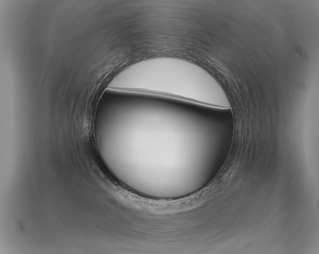 X0000113270039200909101320