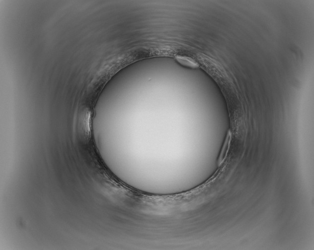 X0000113270041200909101320