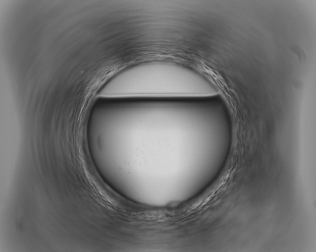 X0000113270049200909101319