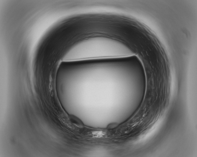 X0000113270050200909101319