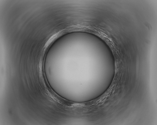 X0000113270051200909101319