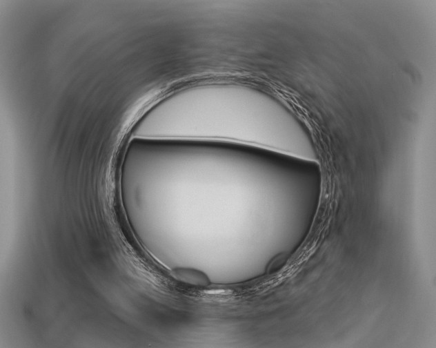 X0000113270053200909101319
