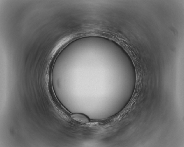 X0000113270054200909101319