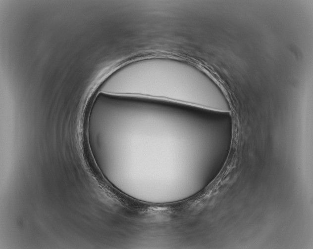 X0000113270055200909101319