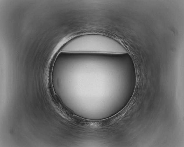 X0000113270056200909101319