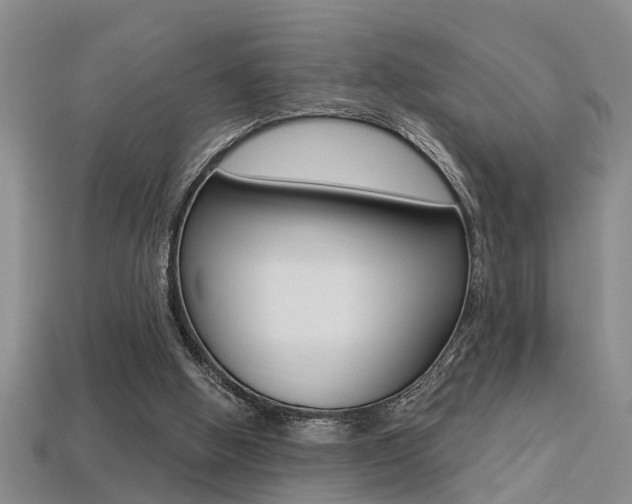 X0000113270058200909101319