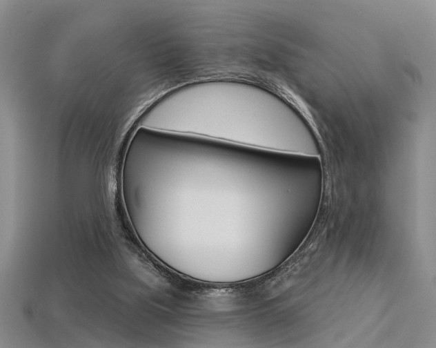 X0000113270059200909101319