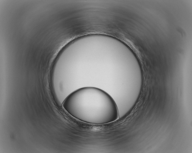 X0000113270060200909101319