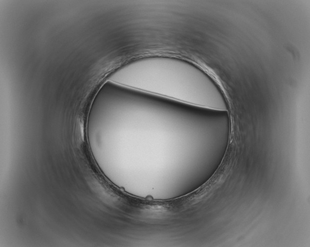 X0000113270061200909101319