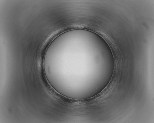 X0000113270064200909101319