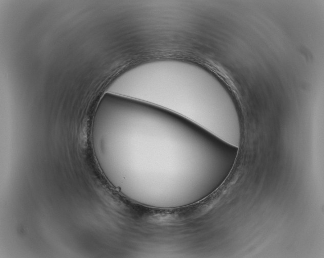 X0000113270065200909101319