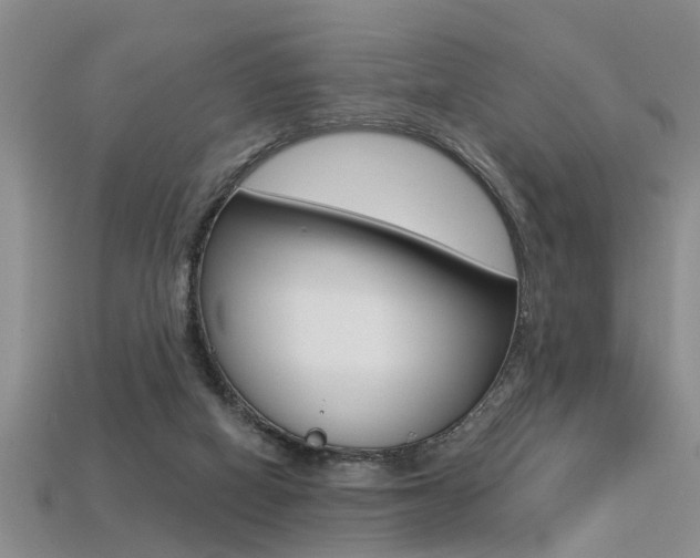 X0000113270066200909101319
