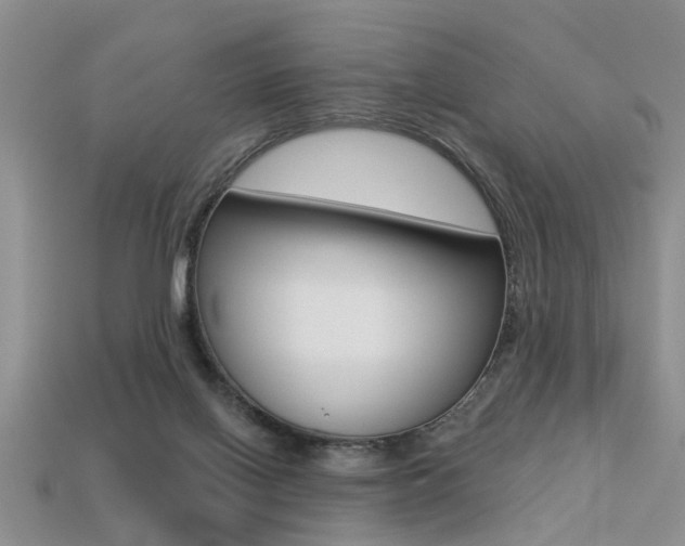 X0000113270070200909101319