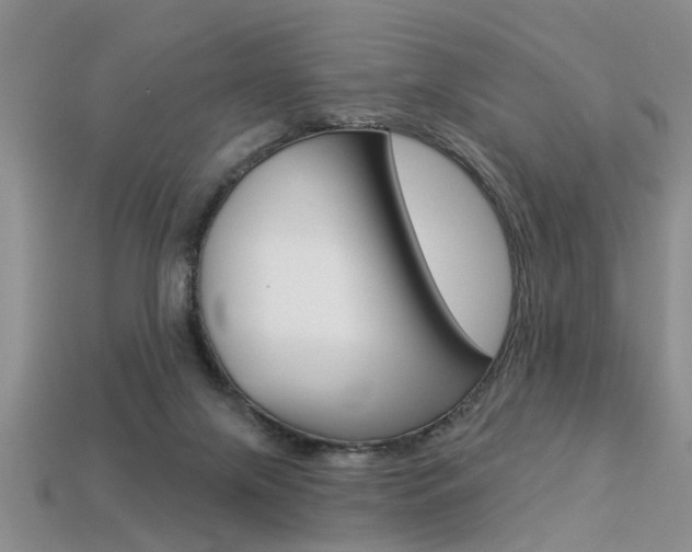 X0000113270071200909101319