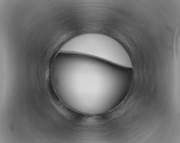 X0000113270072200909101319