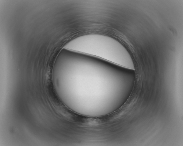 X0000113270073200909101319