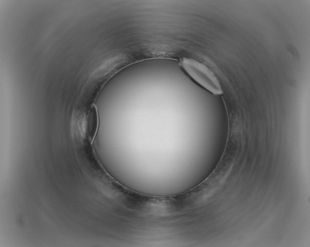 X0000113270076200909101319