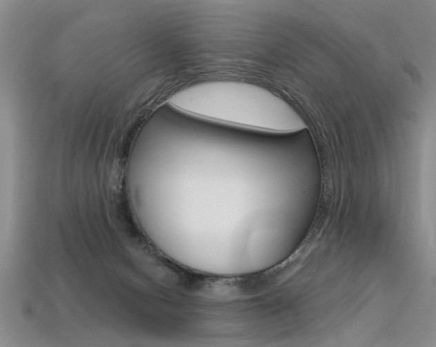 X0000113270078200909101319