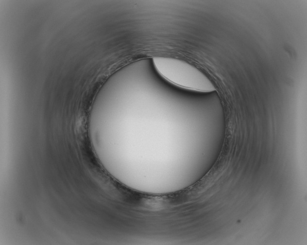 X0000113270079200909101319