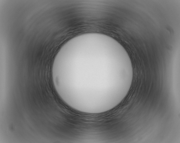 X0000113270080200909101319