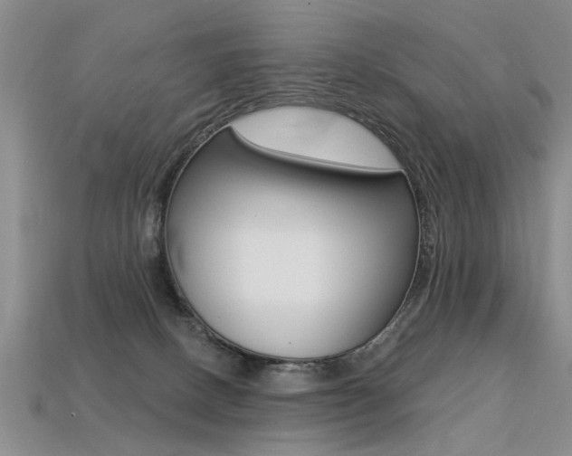 X0000113270082200909101319