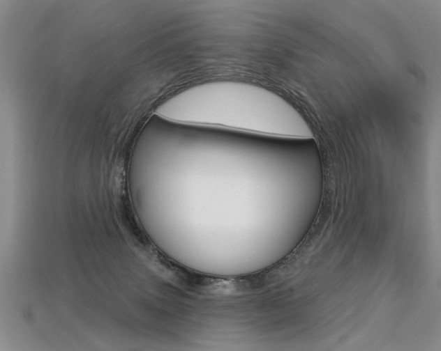 X0000113270083200909101319