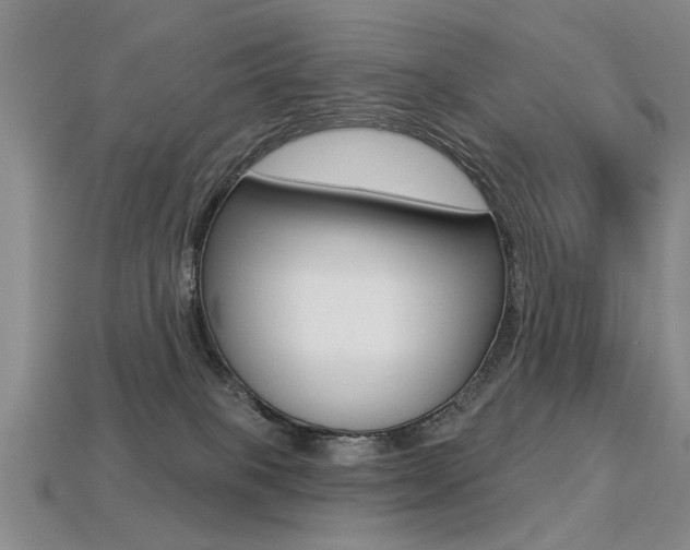X0000113270085200909101319