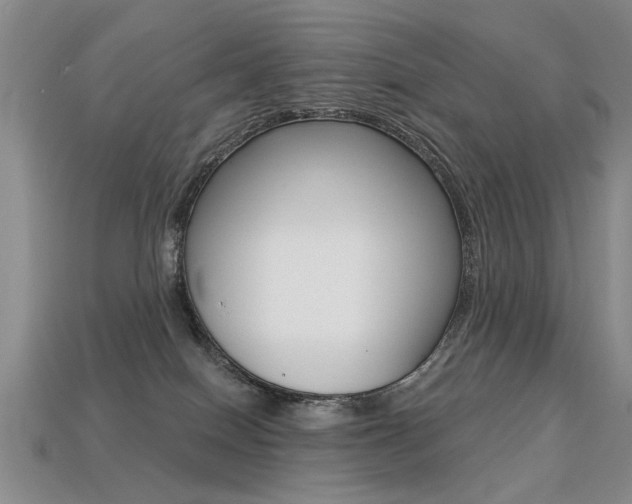 X0000113270086200909101319