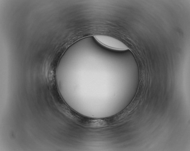 X0000113270087200909101319