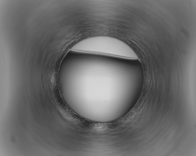 X0000113270088200909101319