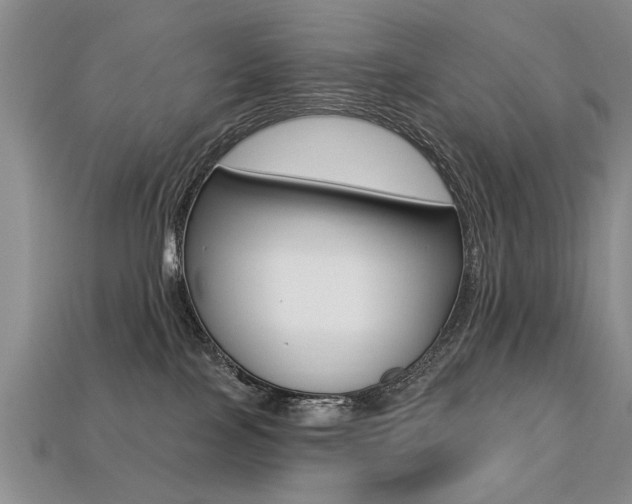 X0000113270089200909101319