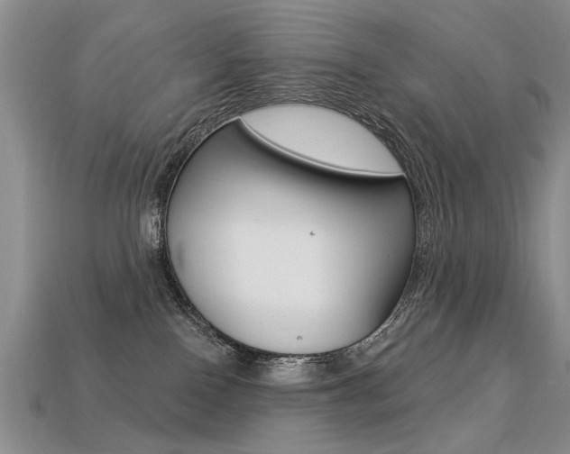 X0000113270090200909101319