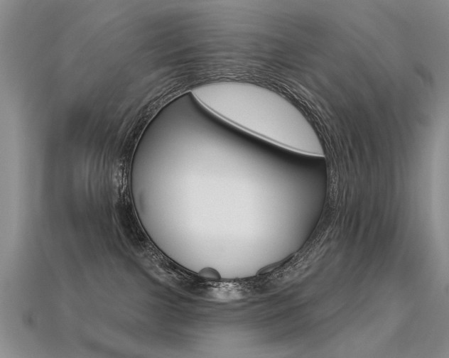 X0000113270091200909101319
