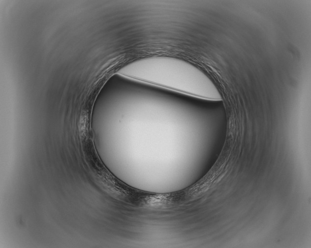 X0000113270092200909101319