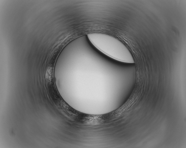 X0000113270093200909101319