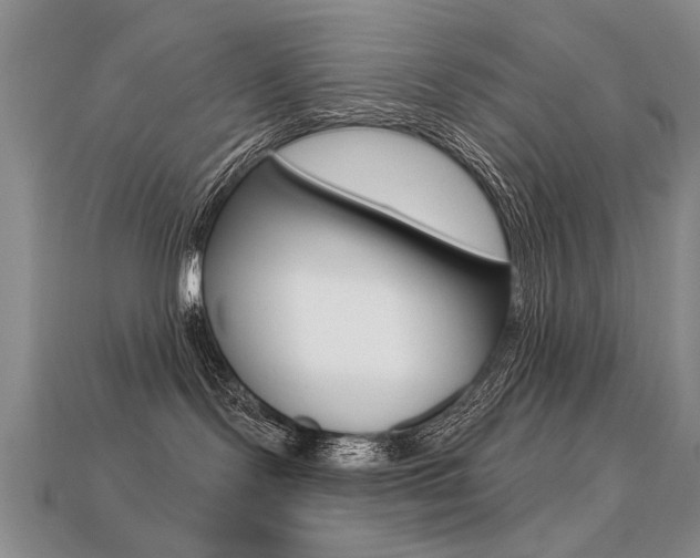 X0000113270095200909101319