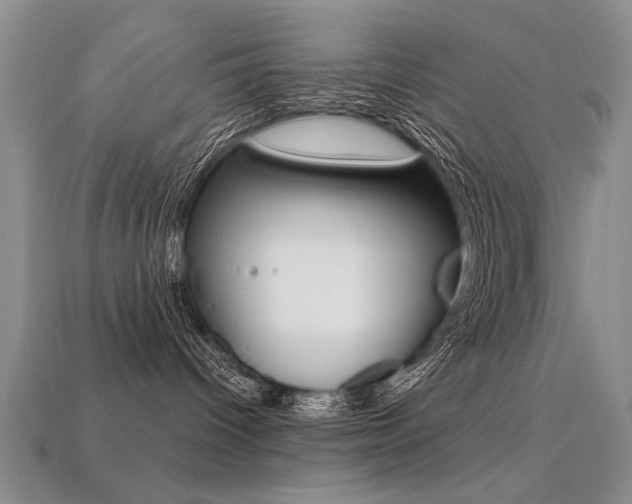 X0000113270096200909101319