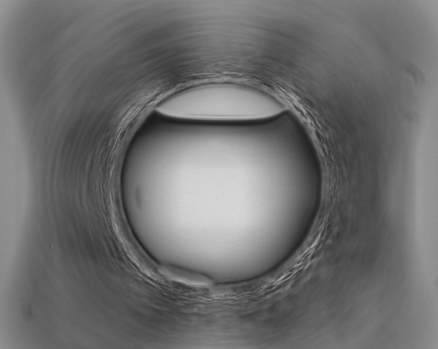 X0000113270097200909101319